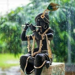 Meet your Posher, Rinki